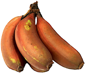 Ruttnande bananer