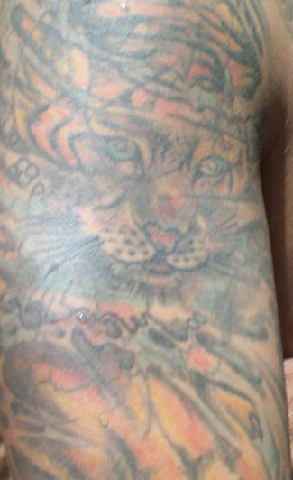 Tigertatuering